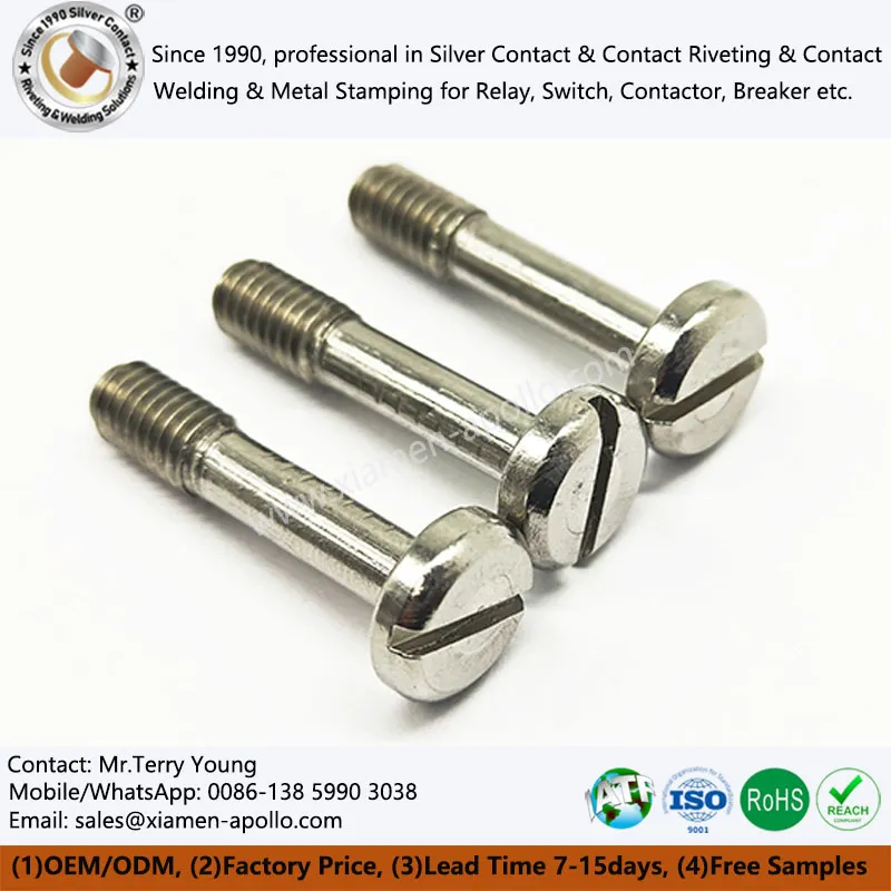 স্লটেড হেড নলাকার স্ক্রু