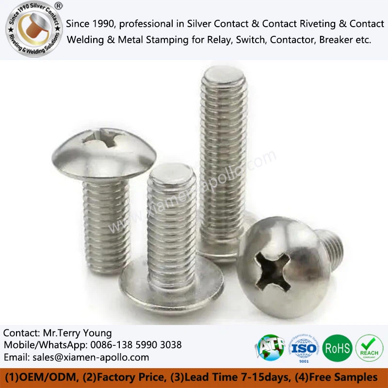 স্টেইনলেস স্টিল স্ক্রু